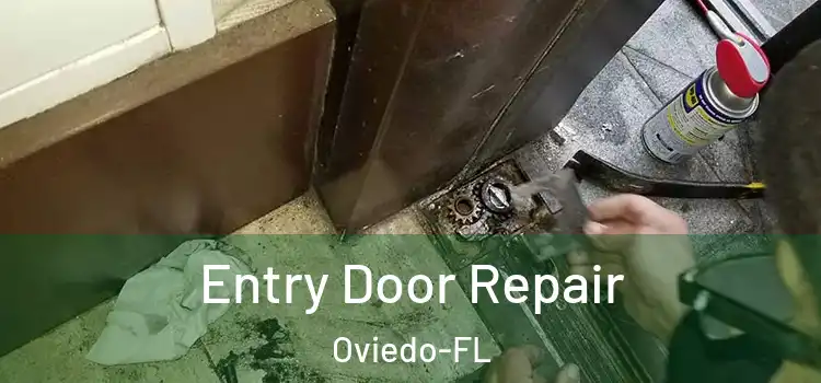  Entry Door Repair Oviedo-FL