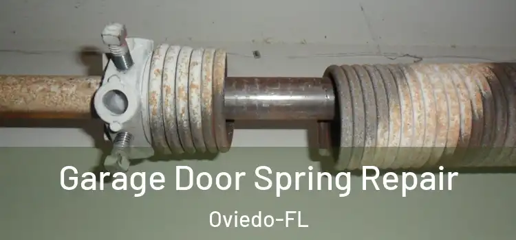  Garage Door Spring Repair Oviedo-FL