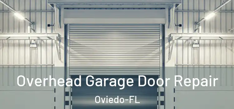  Overhead Garage Door Repair Oviedo-FL