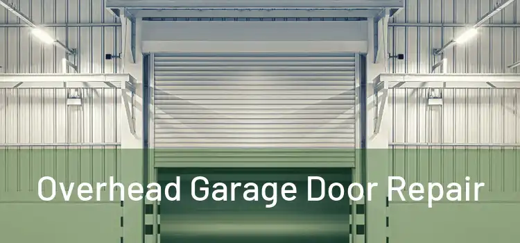  Overhead Garage Door Repair 
